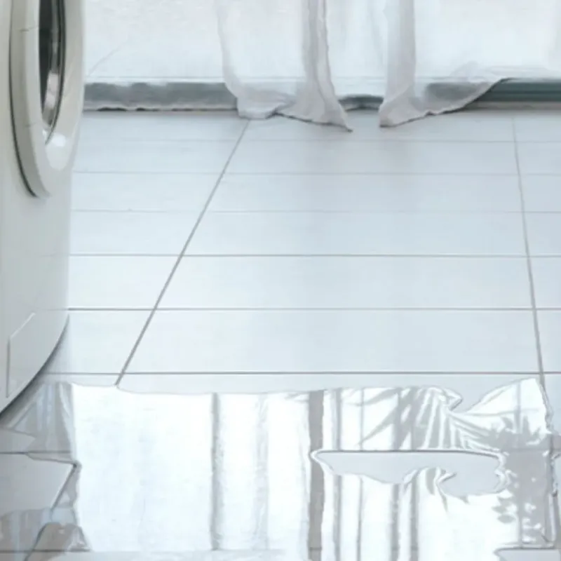 Appliance Leak Cleanup in Sullivan County, NH