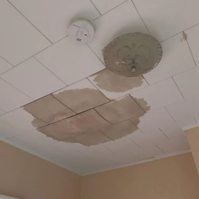 Ceiling Water Damage Repair in Sullivan County, NH