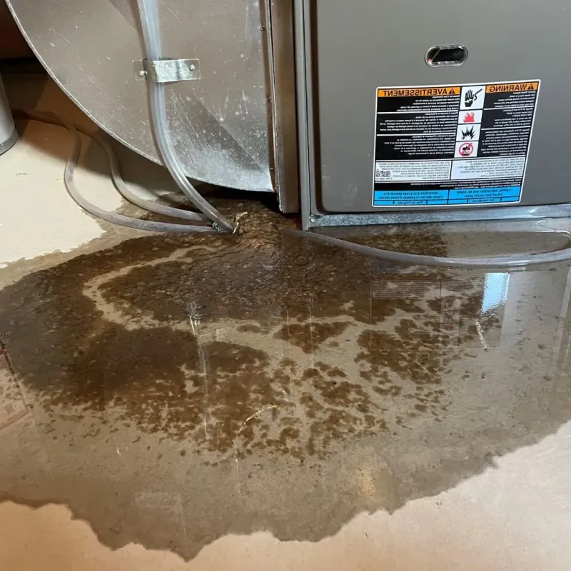 Pipe Burst and Leak Restoration in Sullivan County, NH